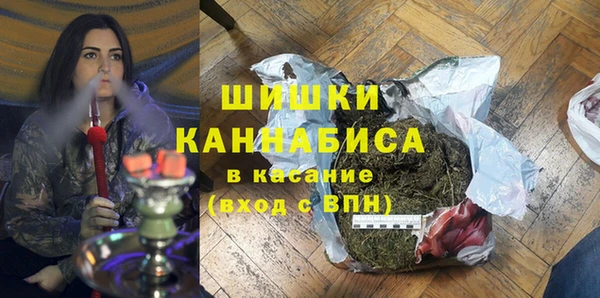сатива Краснослободск