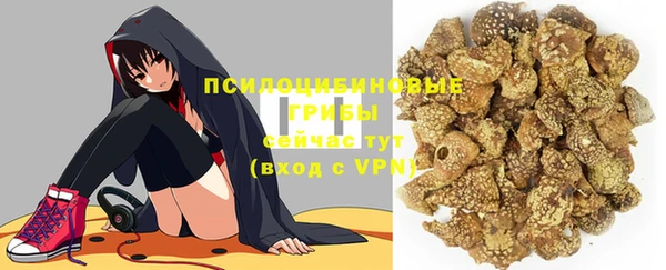 бошки Краснотурьинск